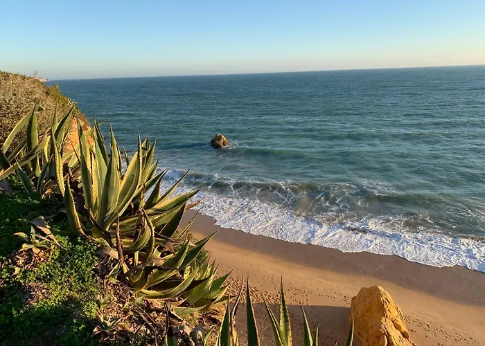 Luxueux 4 Pieces, Terrasse 120m2 Vue Da Rocha * بورتيماو